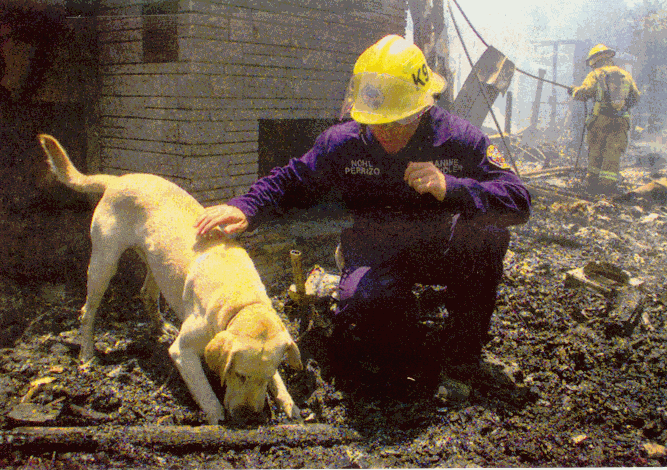 Accelerant Detection